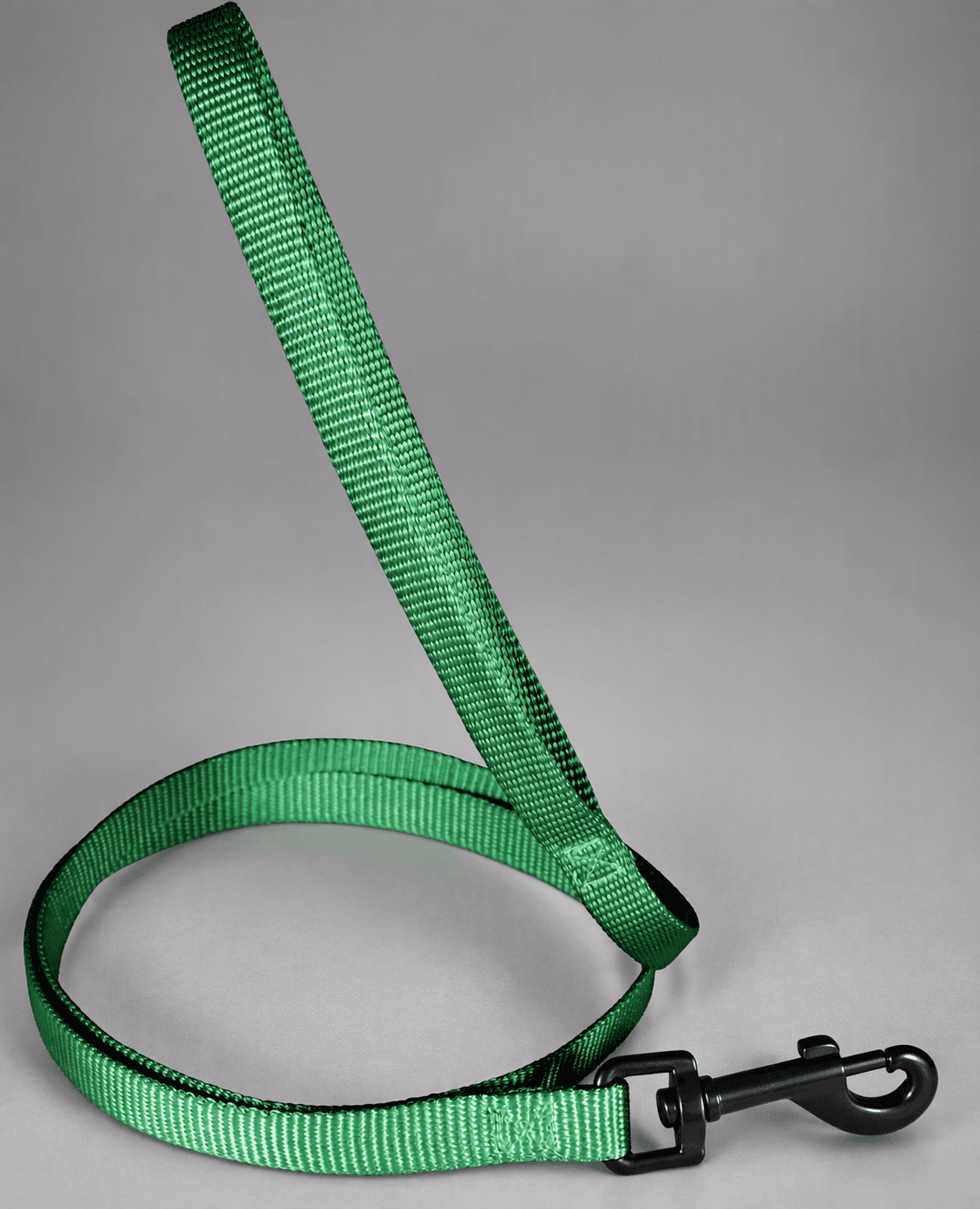 ZOLUX Klassische Nylon-Hundeleine, 1,20 m, 15 mm, grün – Bild 8