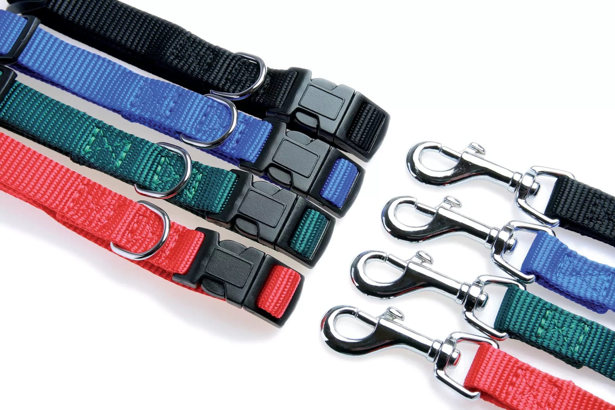 Zolux Hundehalsband aus Nylon – Band 30/40 cm, 15 mm, Farbe: Blau – Bild 4