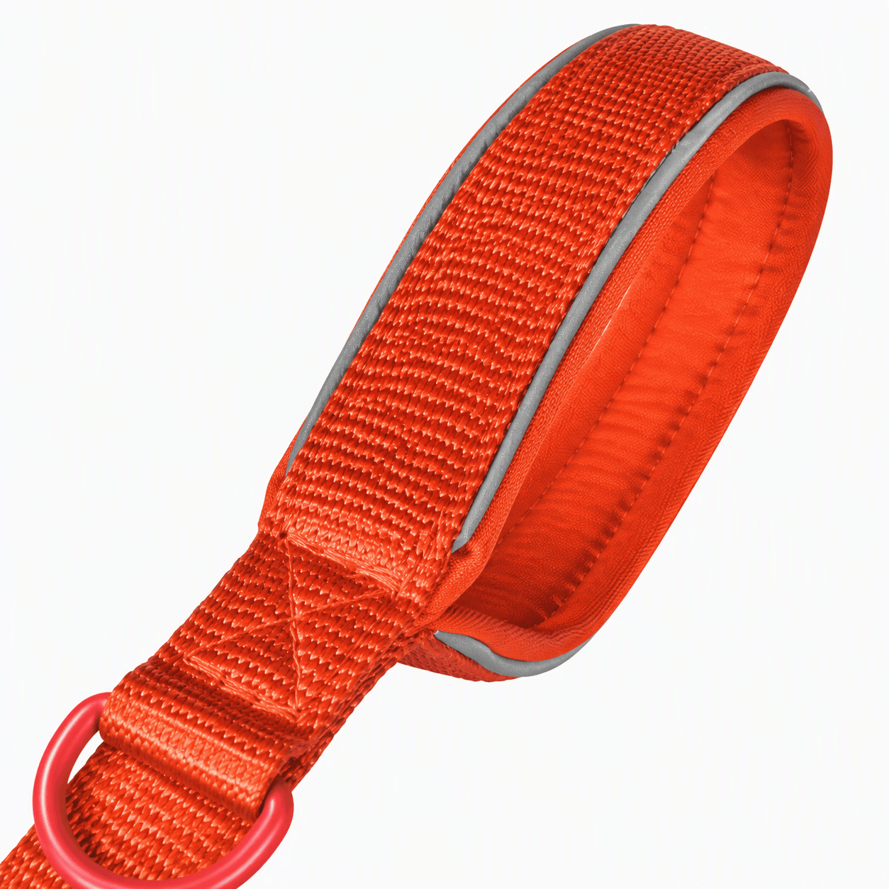 ZOLUX Premium-Nylon-Hundeleine, Größe M, 1,2 m, 20 mm, rostbraun – Bild 4