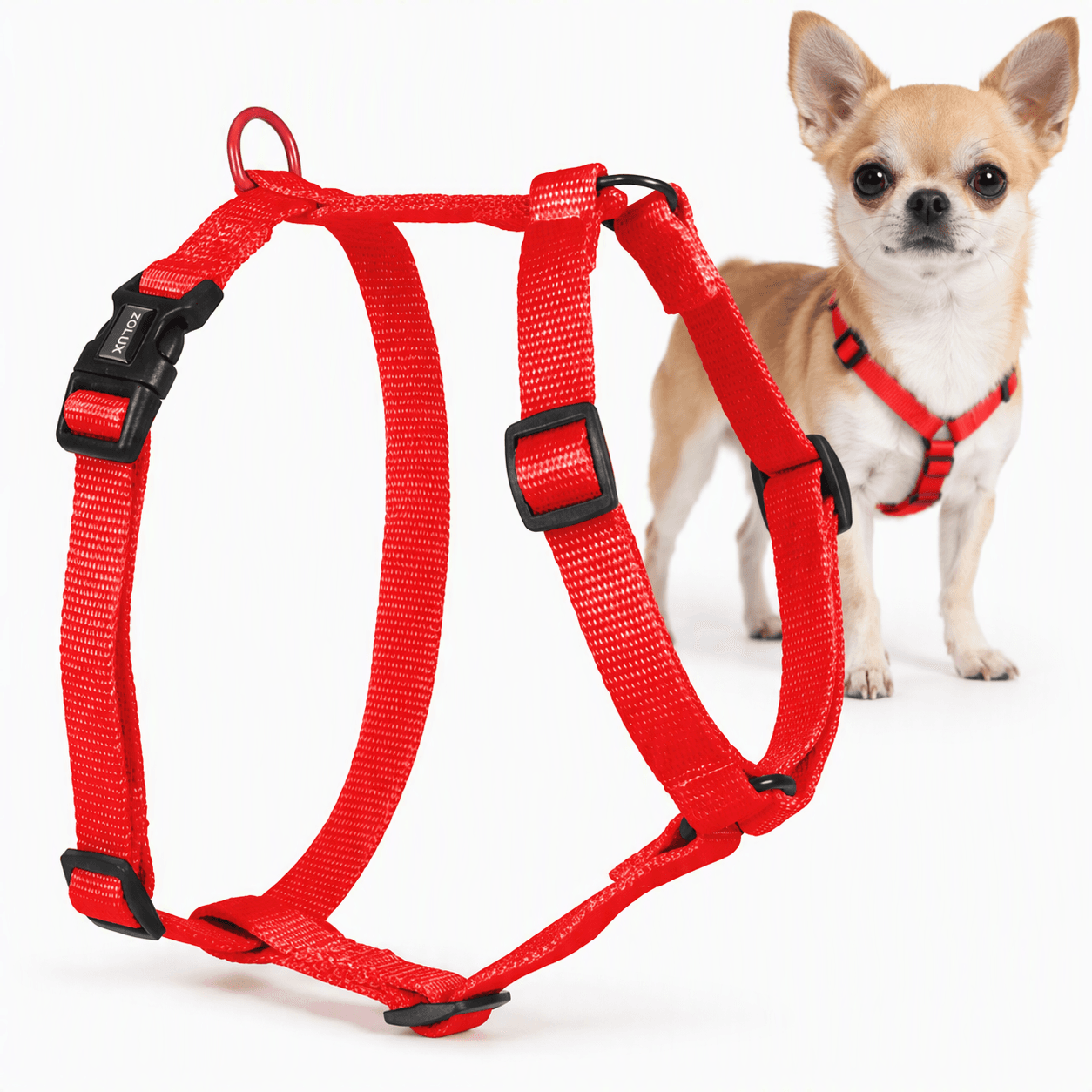 ZOLUX Klassisches Nylon-Hundegeschirr, 23–39 cm, 10 mm, rot – Bild 1