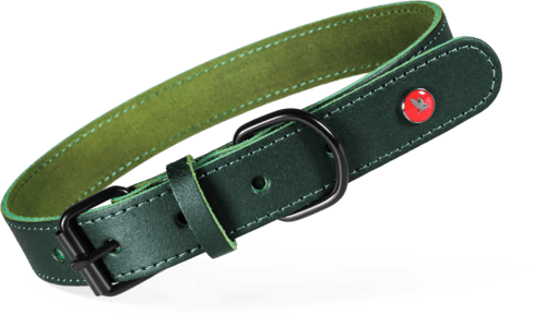 ZOLUX Klassisches Lederhalsband für Hunde, 19–24 cm, 14 mm, grün – Bild 1