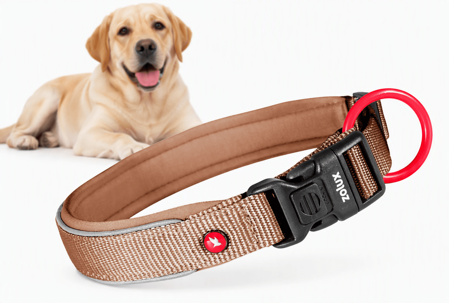 ZOLUX Premium-Nylon-Hundehalsband, Größe M, 40–45 cm, 20 mm, mocha – Bild 1