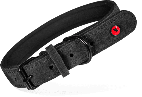 ZOLUX Komfort-Lederhalsband für Hunde, 34–44 cm, 20 mm, schwarz – Bild 2