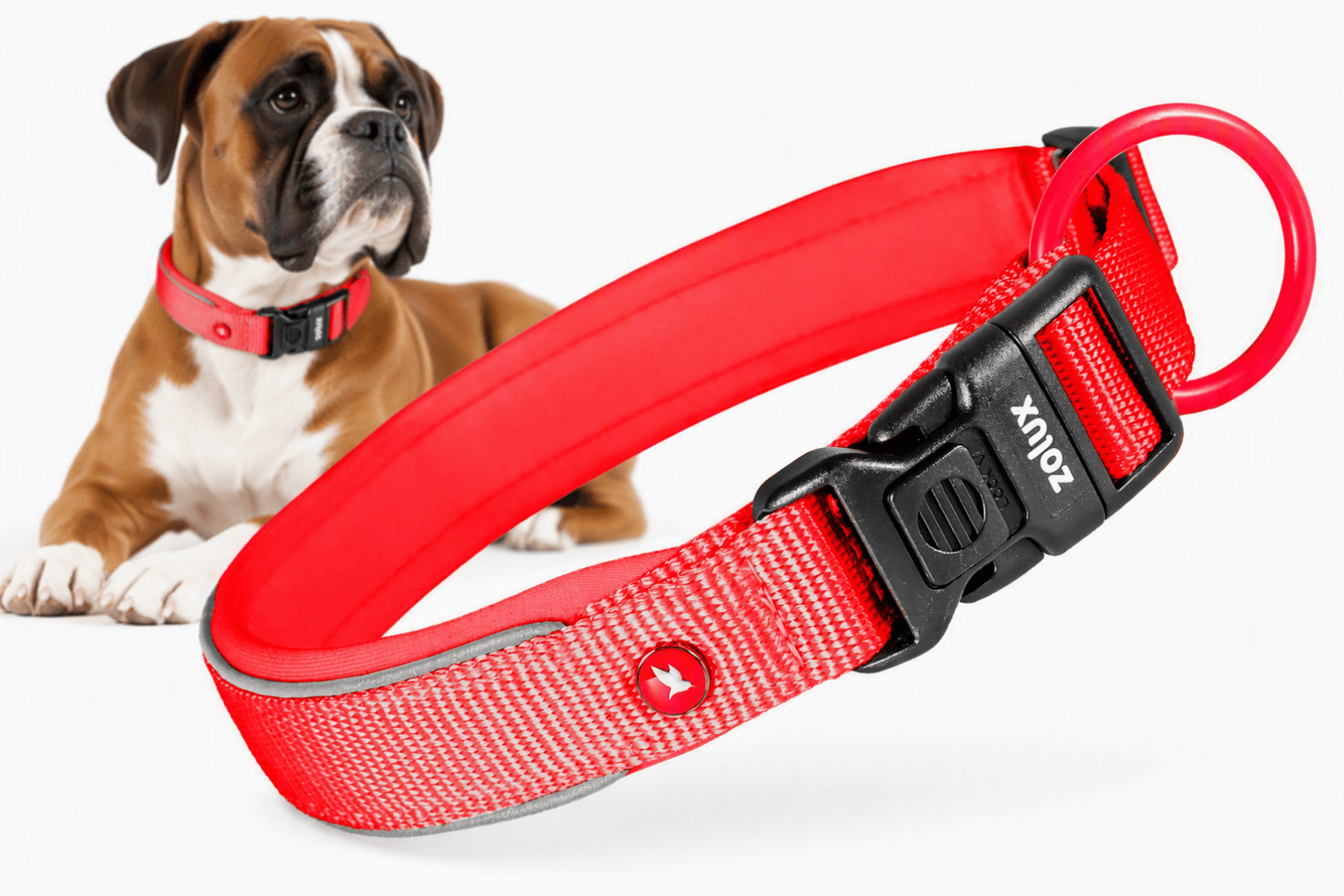 ZOLUX Premium-Nylon-Hundehalsband, Größe XL, 50–55 cm, 25 mm, rot – Bild 1