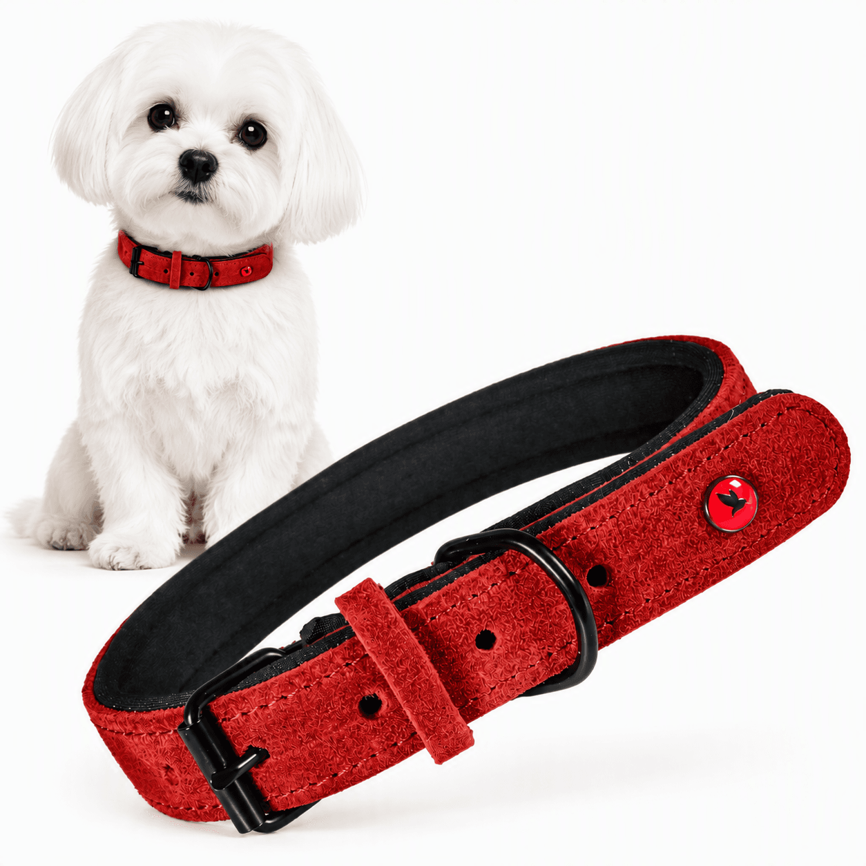 ZOLUX Komfort-Lederhalsband für Hunde, 29–36 cm, 16 mm, rot – Bild 1