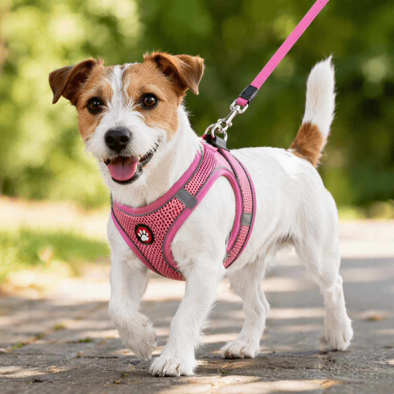 ZOLUX Atmungsaktives Mesh-Hundegeschirr, Größe M, rosa – Bild 13
