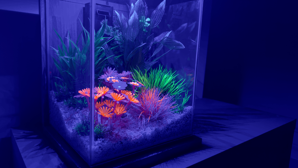 ZOLUX Aquariendekoration FLOWERS 4 grün-gelb fluoreszierend – Bild 4