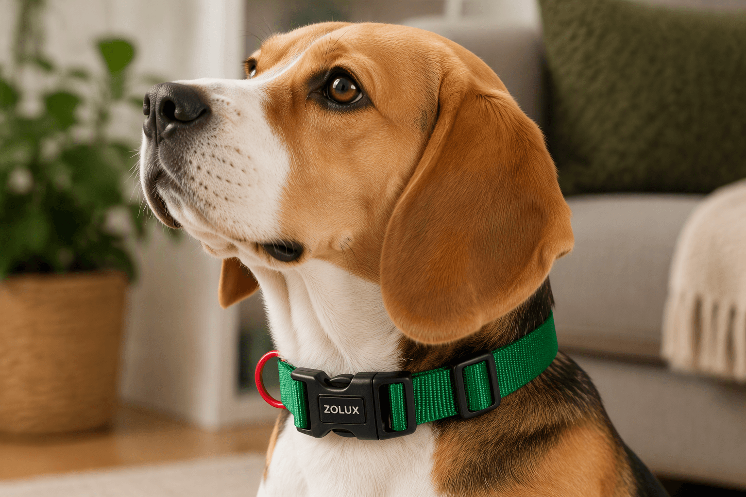 ZOLUX Klassisches Nylon-Hundehalsband, 26–39 cm, 15 mm, grün – Bild 7