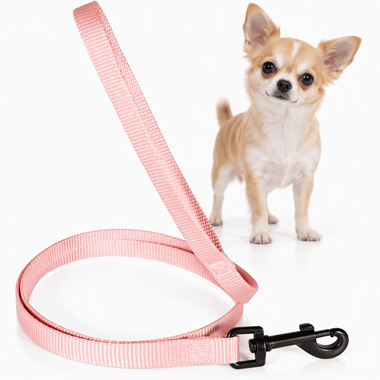 ZOLUX Klassische Nylon-Hundeleine, 1,20 m, 10 mm, rosa – Bild 1