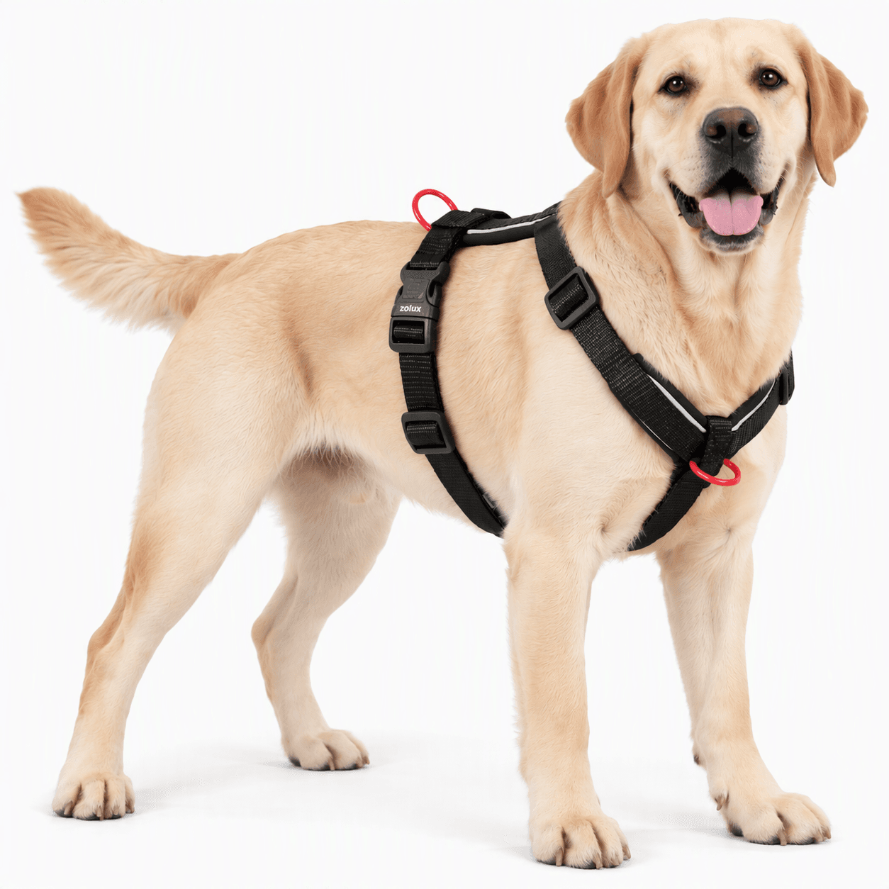 ZOLUX Premium-Nylon-Hundegeschirr, Größe L/XL, 65–97 cm, 25 mm, schwarz – Bild 6