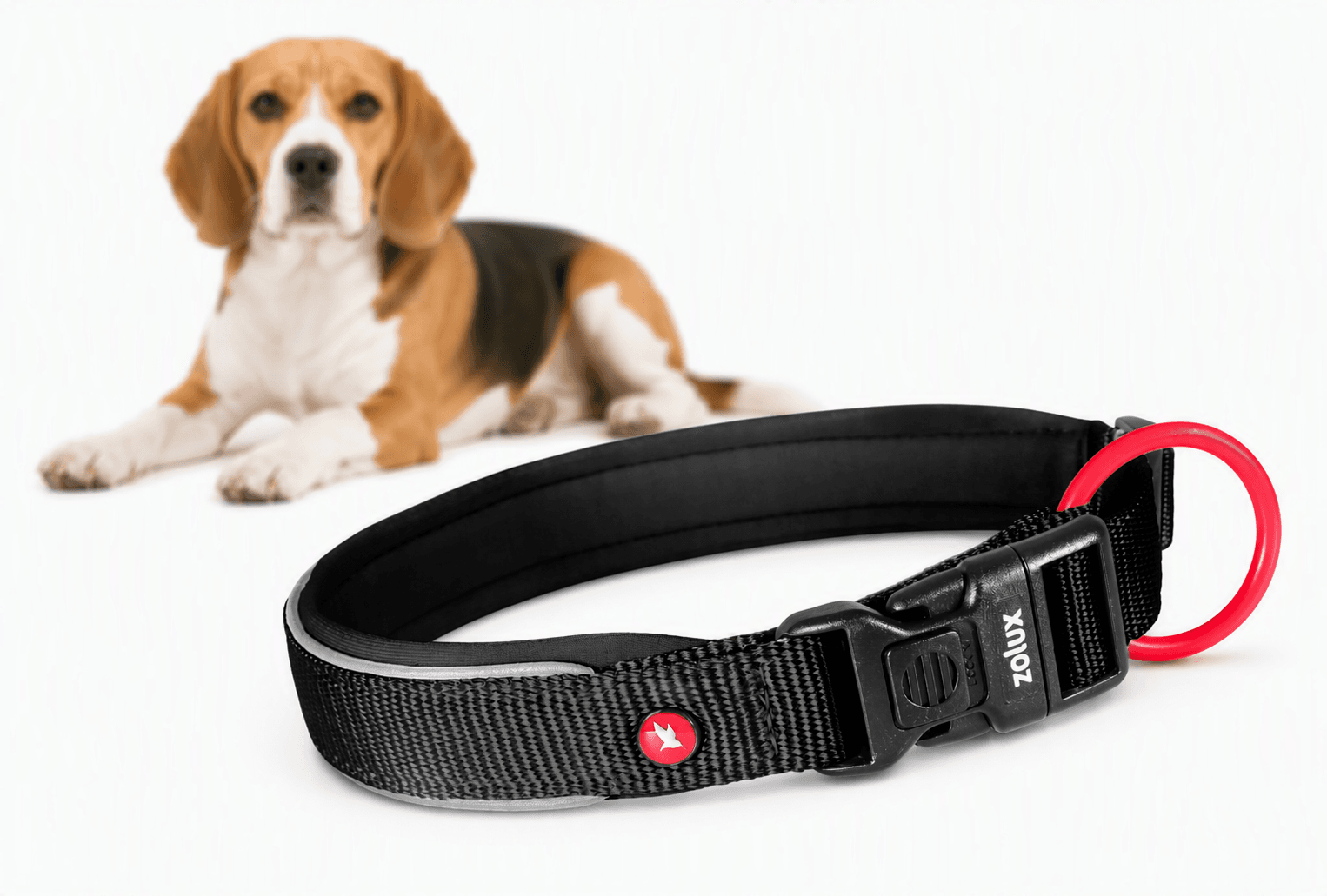 ZOLUX Premium-Nylon-Hundehalsband, Größe S, 35–40 cm, 20 mm, schwarz – Bild 1
