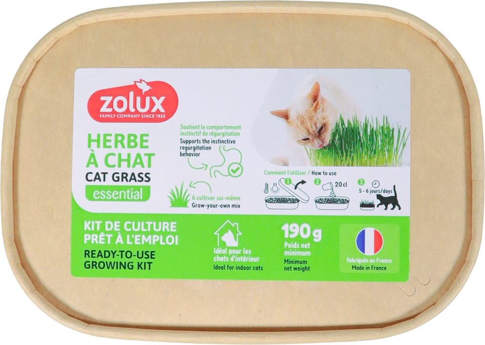 ZOLUX Katzengras zur Selbstanzucht – Bild 5