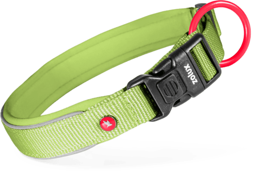 ZOLUX Premium-Nylon-Hundehalsband, Größe L, 45–50 cm, 25 mm, hellgrün – Bild 2