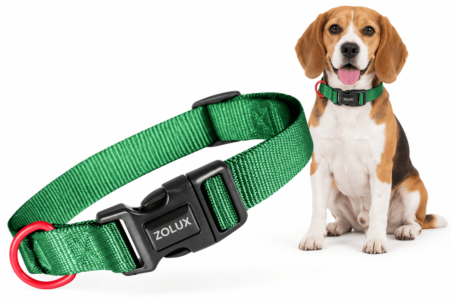 ZOLUX Klassisches Nylon-Hundehalsband, 26–39 cm, 15 mm, grün – Bild 1