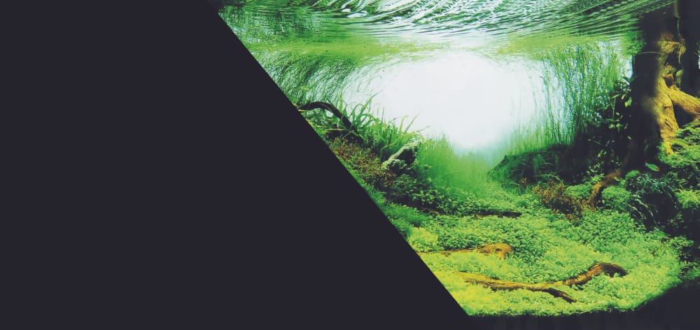 ZOLUX Doppelseitige Aquarienrückwand Amazonas/Schwarz 60 x 120 cm – Bild 1