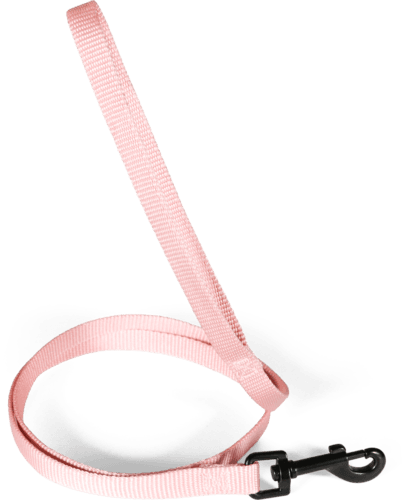 ZOLUX Klassische Nylon-Hundeleine, 1,20 m, 20 mm, rosa – Bild 3