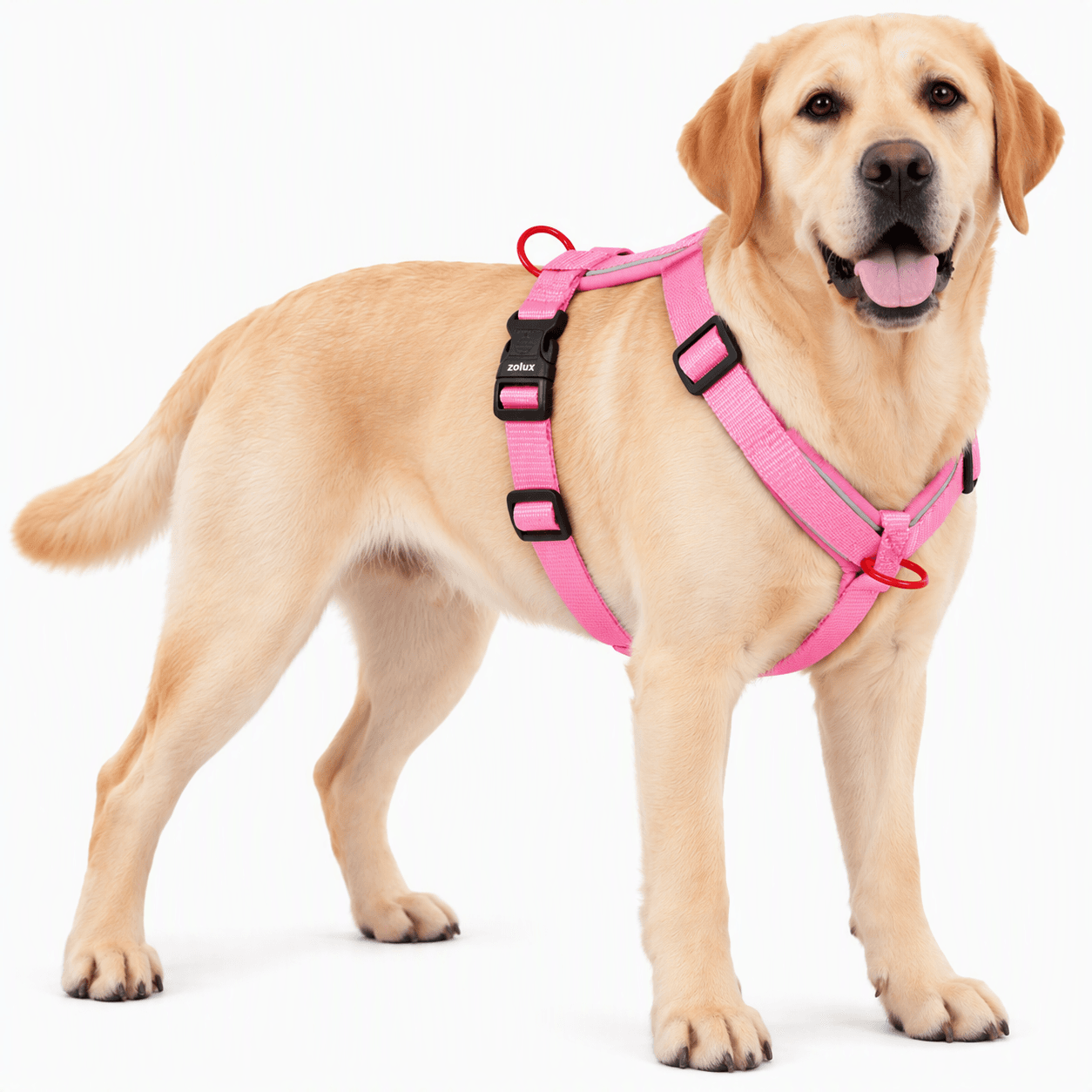 ZOLUX Premium-Nylon-Hundegeschirr, Größe L/XL, 65–97 cm, 25 mm, fuchsia – Bild 6
