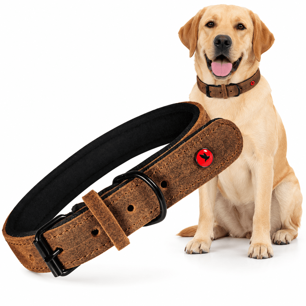 ZOLUX Komfort-Lederhalsband für Hunde, 34–44 cm, 20 mm, braun – Bild 1