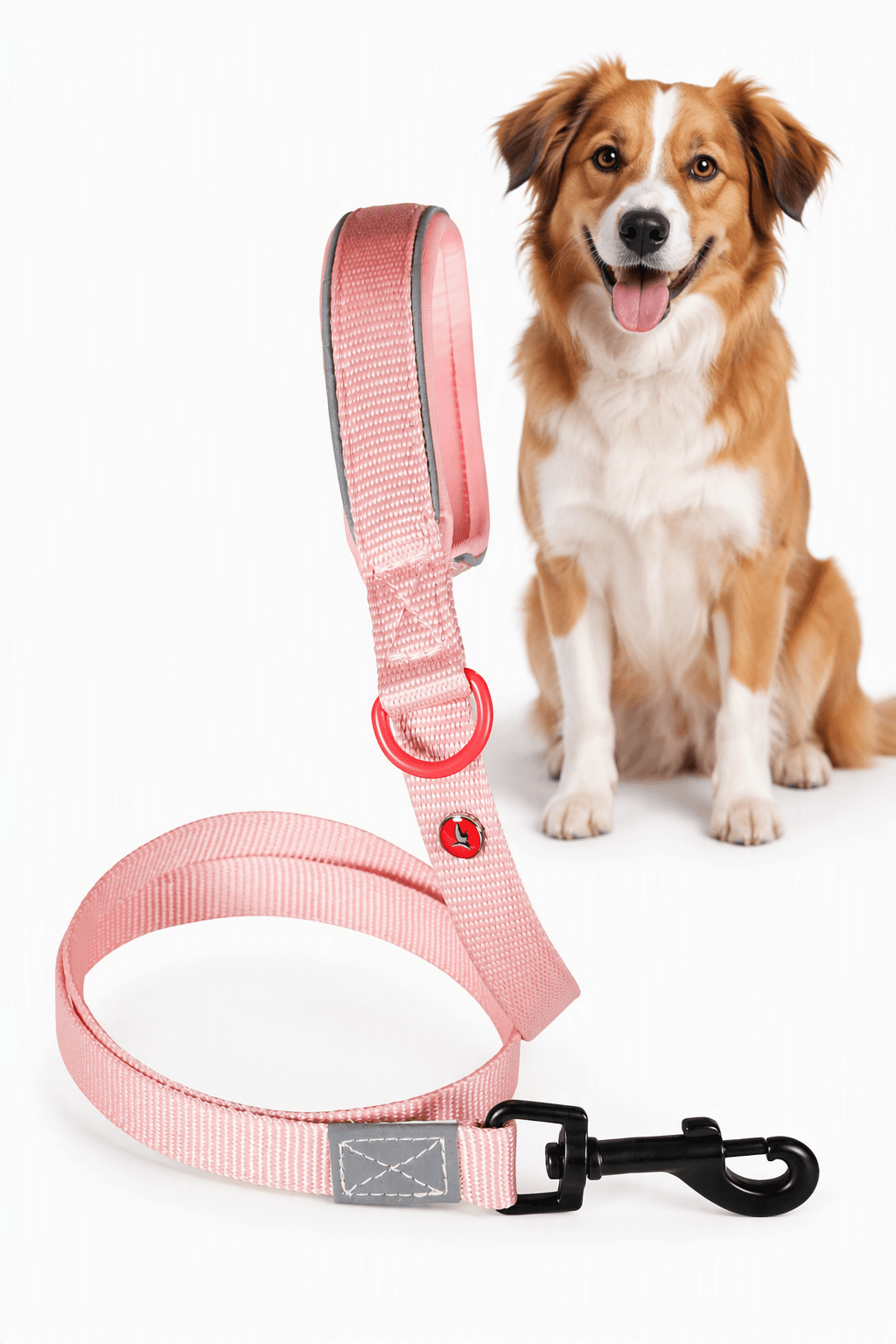 ZOLUX Premium-Nylon-Hundeleine, Größe M, 1,2 m, 20 mm, rosa – Bild 1