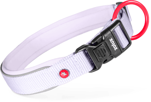 ZOLUX Premium-Nylon-Hundehalsband, Größe XL, 50–55 cm, 25 mm, lila – Bild 2