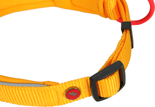 ZOLUX Premium-Nylon-Hundehalsband, Größe S, 35–40 cm, 20 mm, gelb – Bild 2