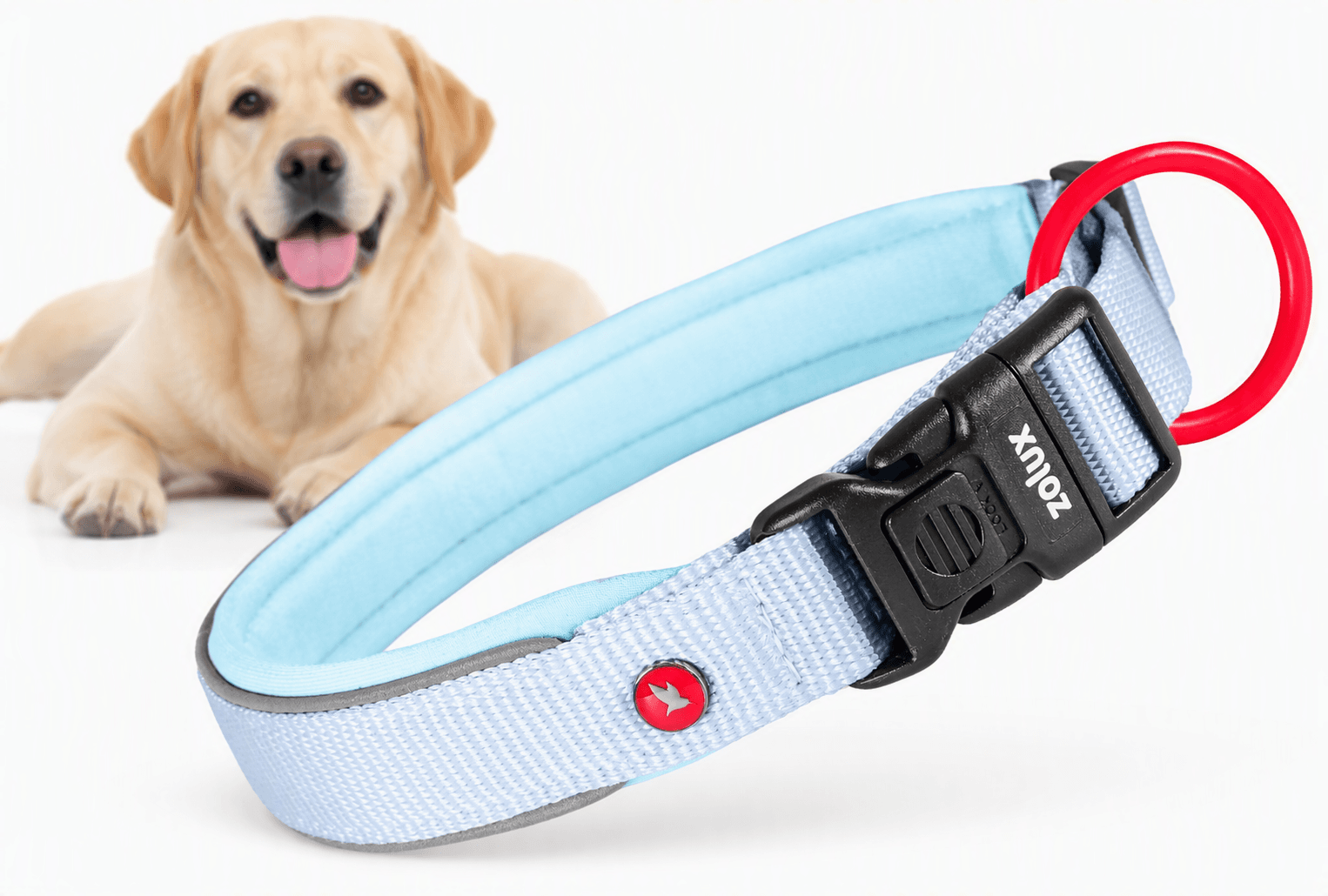 ZOLUX Premium-Nylon-Hundehalsband, Größe M, 40–45 cm, 20 mm, hellblau – Bild 1