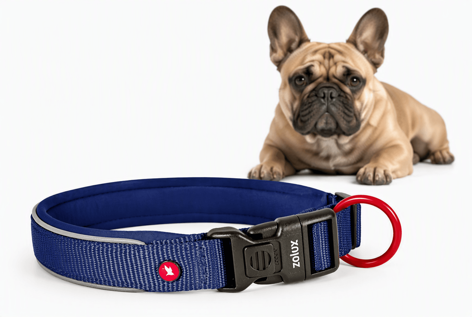 ZOLUX Premium-Nylon-Hundehalsband, Größe S, 35–40 cm, 20 mm, marineblau – Bild 1