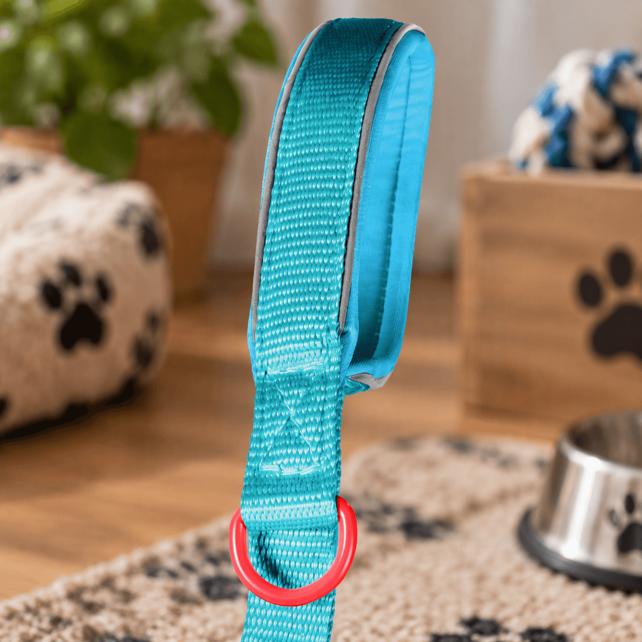 ZOLUX Premium-Nylon-Hundeleine, Größe M, 1,2 m, 20 mm, türkis – Bild 5