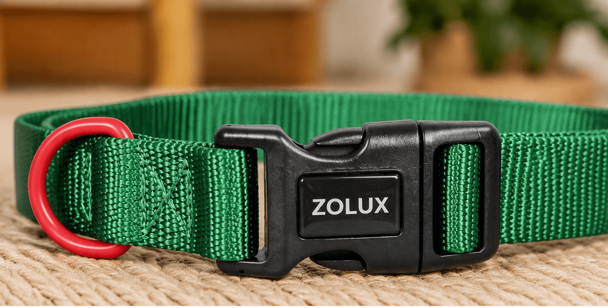 ZOLUX Klassisches Nylon-Hundehalsband, 37–58 cm, 25 mm, grün – Bild 5
