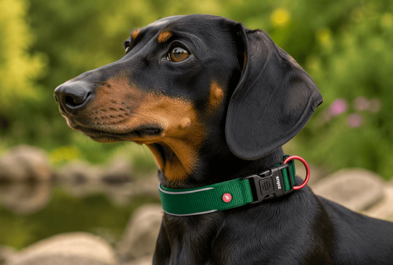 ZOLUX Premium-Nylon-Hundehalsband, Größe XS, 30–35 cm, 15 mm, grün – Bild 6
