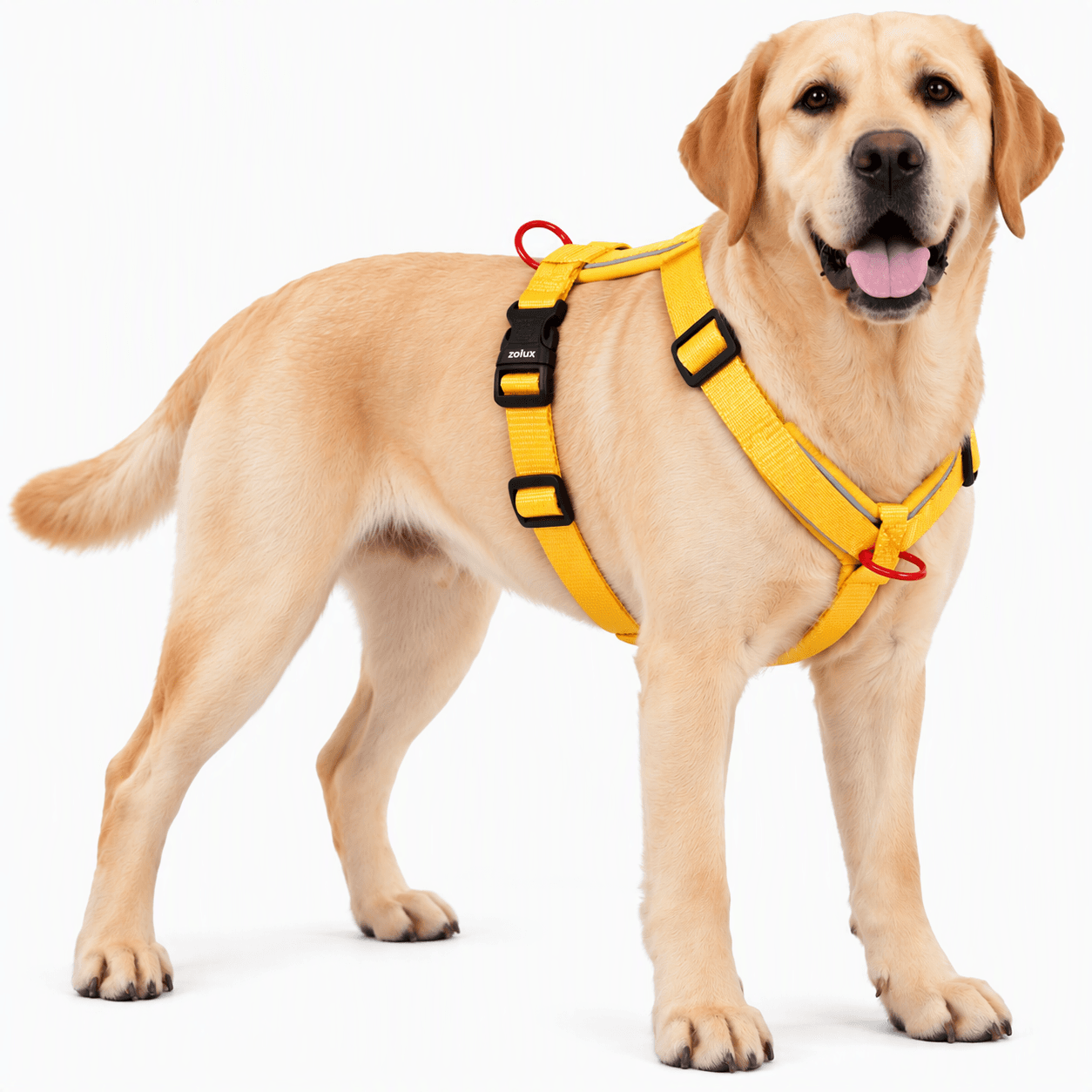 ZOLUX Premium-Nylon-Hundegeschirr, Größe L/XL, 65–97 cm, 25 mm, gelb – Bild 8