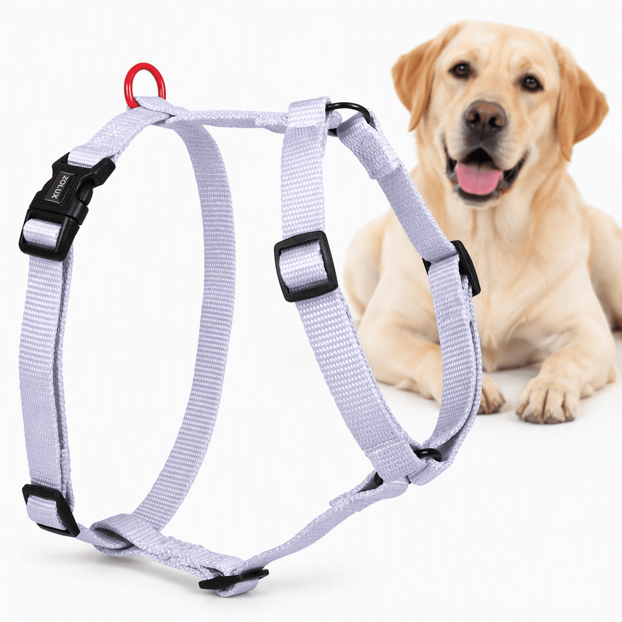 ZOLUX Klassisches Nylon-Hundegeschirr, 60–89 cm, 25 mm, lila – Bild 1