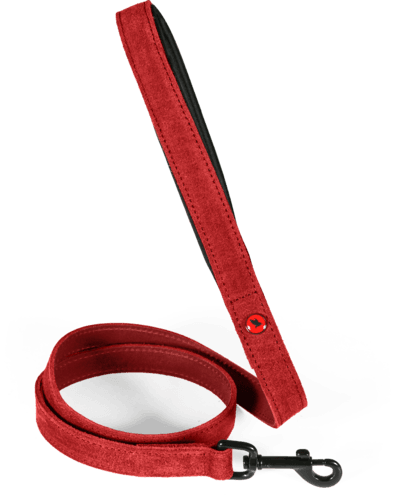 ZOLUX Komfort-Lederleine für Hunde, 1 m, 20 mm, rot – Bild 2