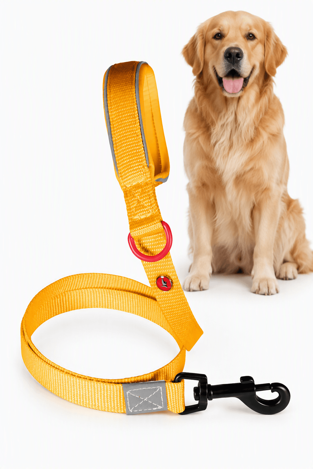 ZOLUX Premium-Nylon-Hundeleine, Größe XL, 1,2 m, 25 mm, gelb – Bild 1