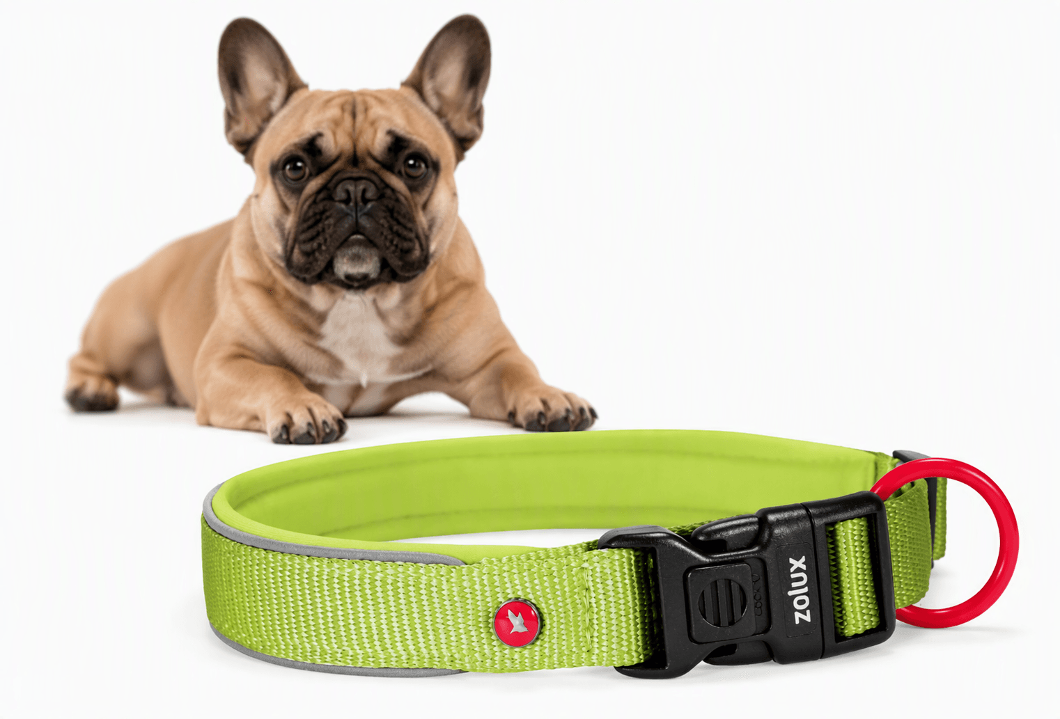 ZOLUX Premium-Nylon-Hundehalsband, Größe S, 35–40 cm, 20 mm, hellgrün – Bild 1