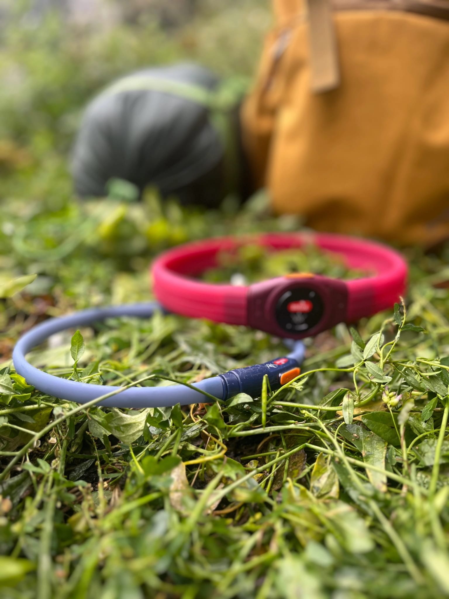 ZOLUX LED-Hundehalsband – Leuchtend, Silikon – Für langes Fell – BIVOUAK, Rot – Bild 5