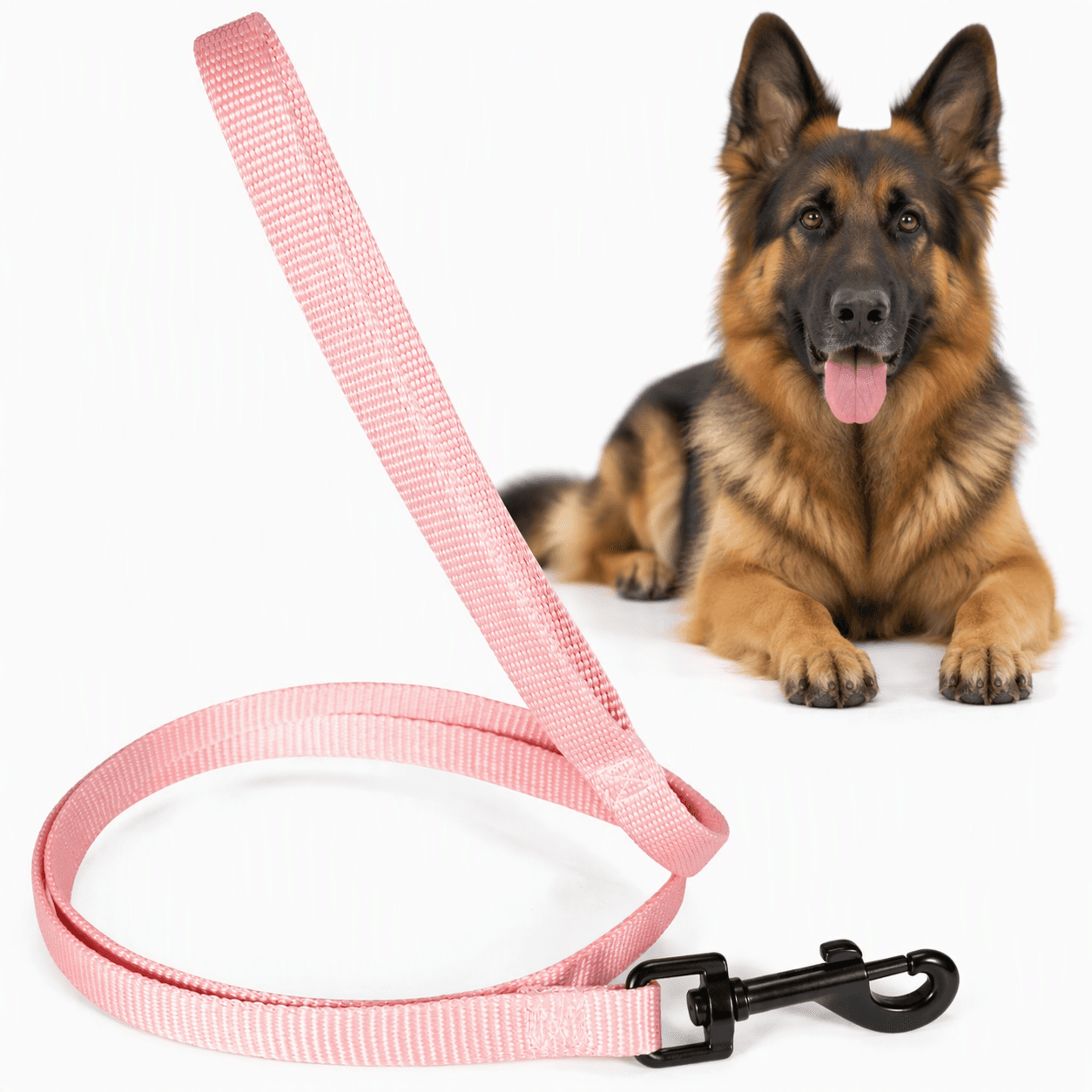 ZOLUX Klassische Nylon-Hundeleine, 1,20 m, 25 mm, rosa – Bild 1