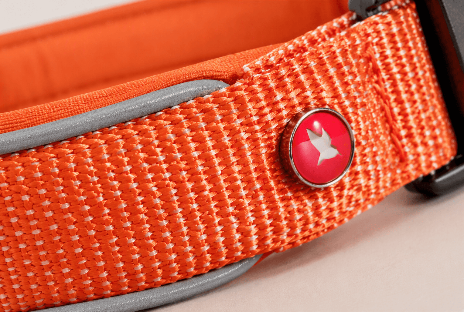 ZOLUX Premium-Nylon-Hundehalsband, Größe S, 35–40 cm, 20 mm, rostbraun – Bild 6