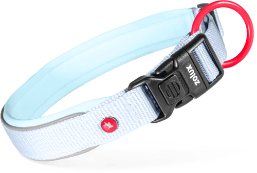 ZOLUX Premium-Nylon-Hundehalsband, Größe XL, 50–55 cm, 25 mm, hellblau – Bild 2