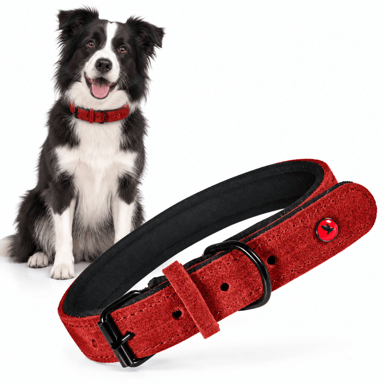 ZOLUX Komfort-Lederhalsband für Hunde, 33–39 cm, 18 mm, rot – Bild 1