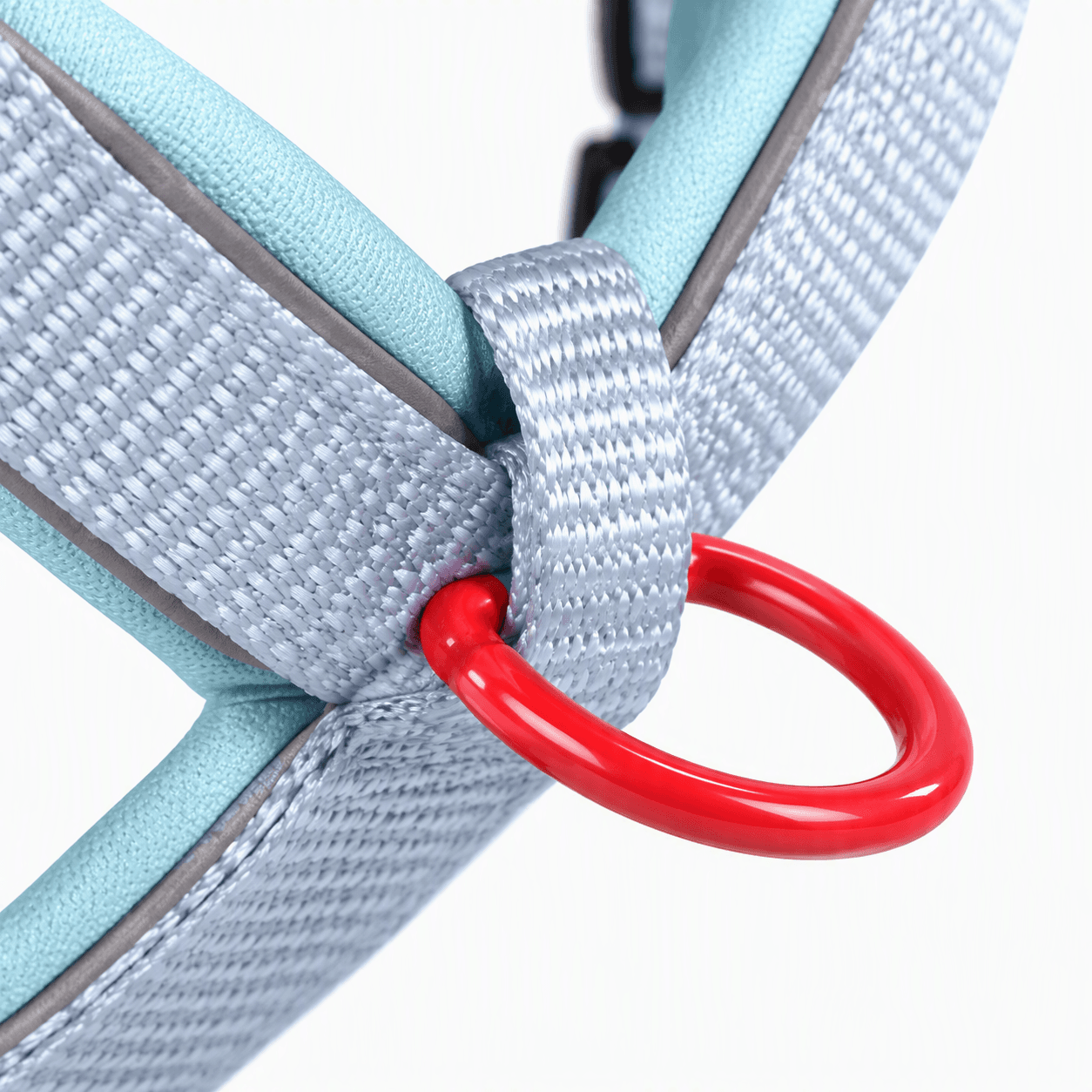 ZOLUX Premium-Nylon-Hundegeschirr, Größe L/XL, 65–97 cm, 25 mm, hellblau – Bild 5
