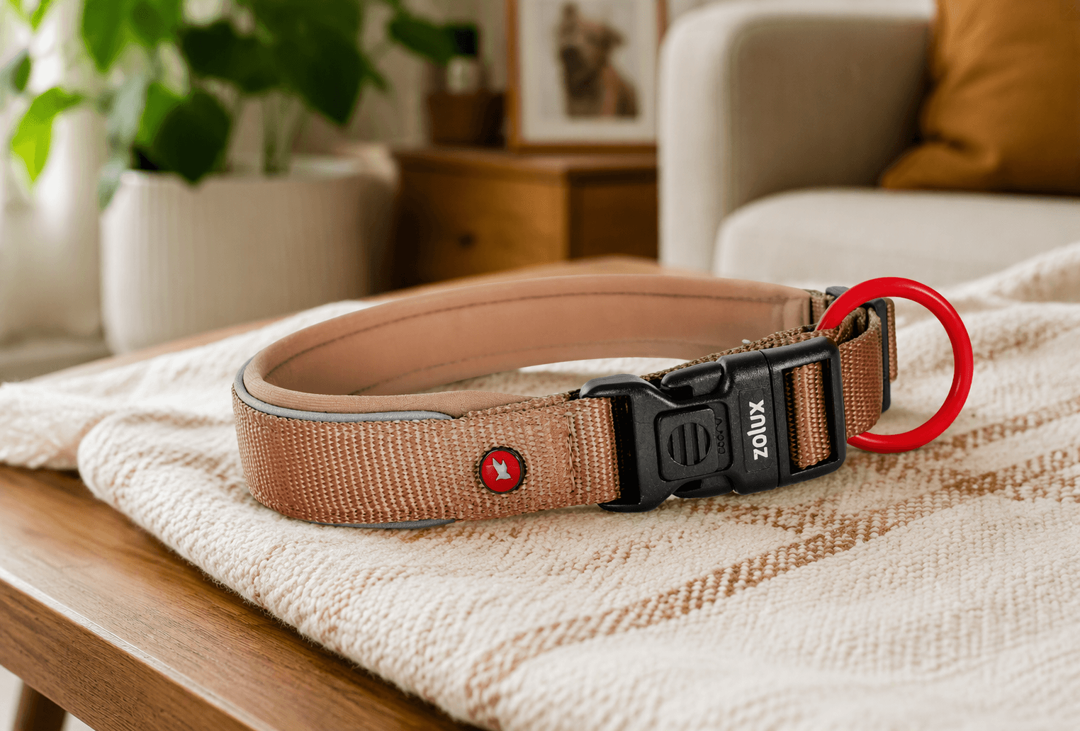 ZOLUX Premium-Nylon-Hundehalsband, Größe XS, 30–35 cm, 15 mm, mocha – Bild 3
