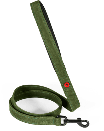 ZOLUX Komfort-Lederleine für Hunde, 1 m, 20 mm, grün – Bild 2