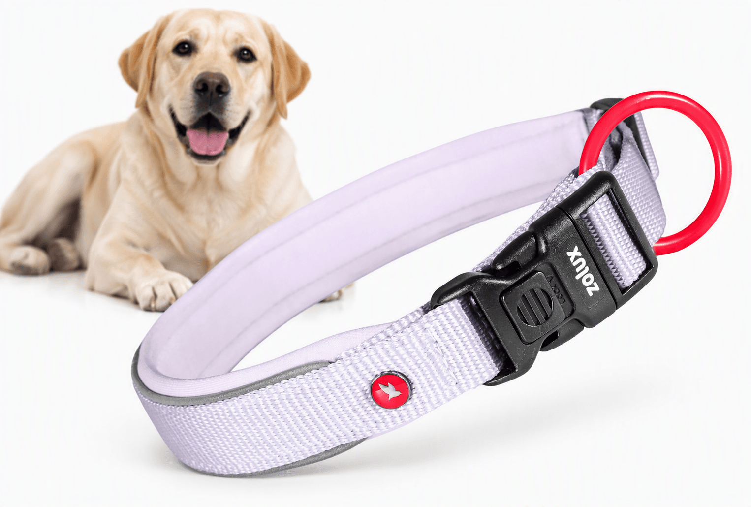 ZOLUX Premium-Nylon-Hundehalsband, Größe M, 40–45 cm, 20 mm, lila – Bild 1