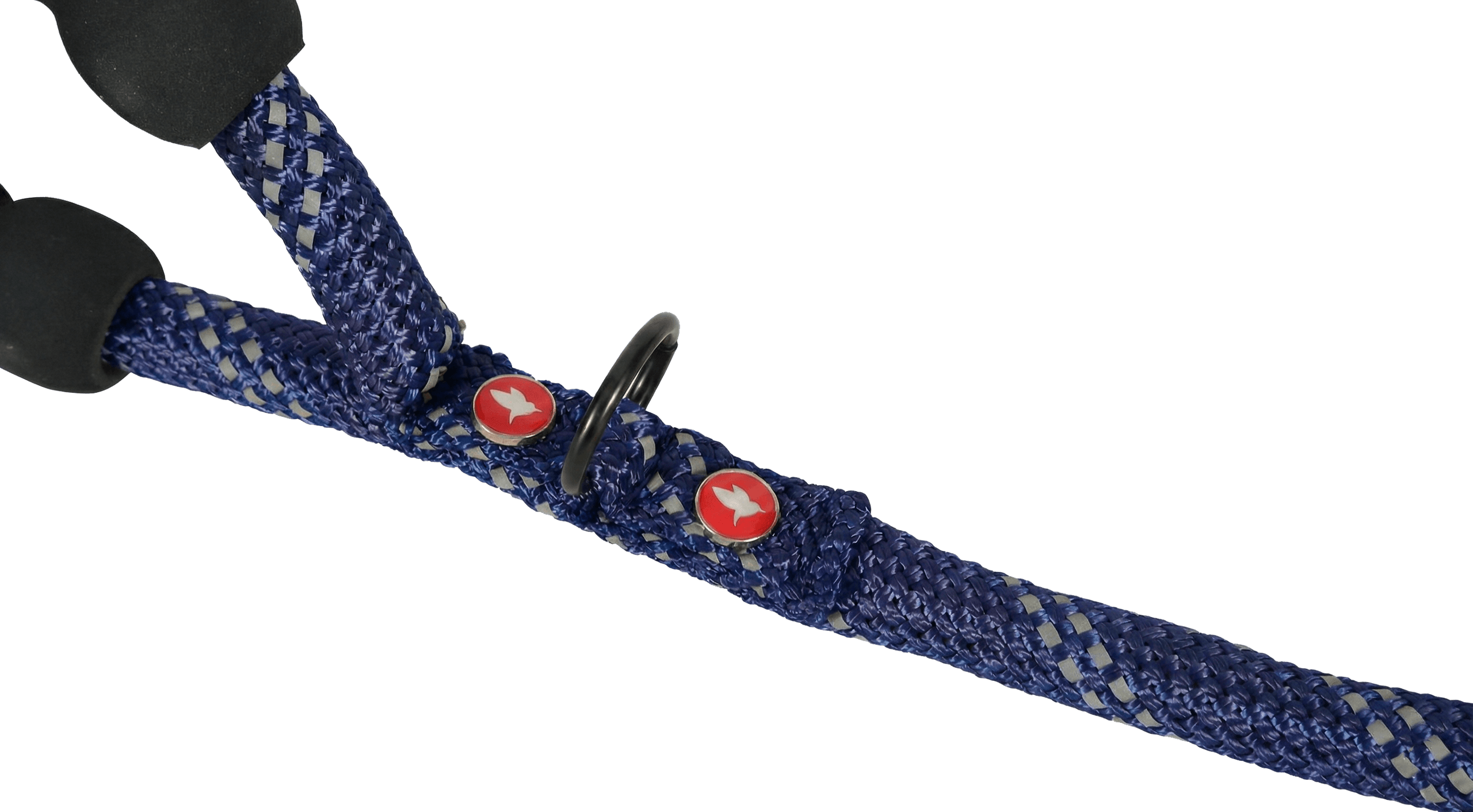 ZOLUX Seilleine für Hunde, 6 m, 13 mm, blau – Bild 2