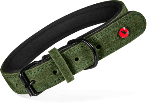 ZOLUX Komfort-Lederhalsband für Hunde, 63–74 cm, 30 mm, grün – Bild 2