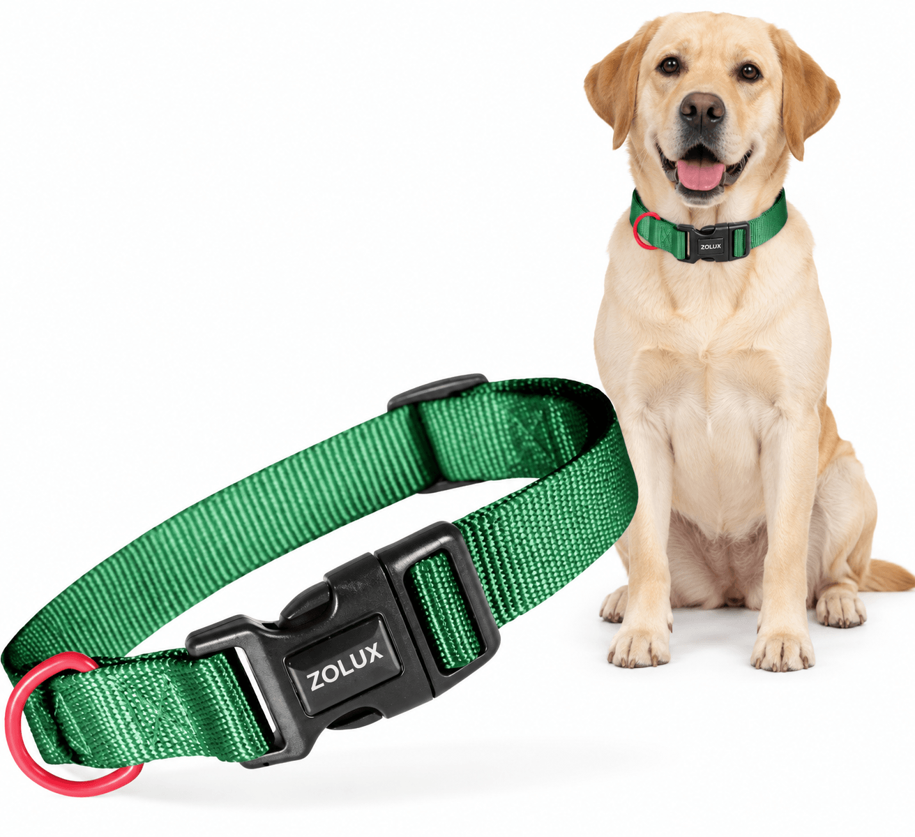 ZOLUX Klassisches Nylon-Hundehalsband, 37–58 cm, 25 mm, grün – Bild 3