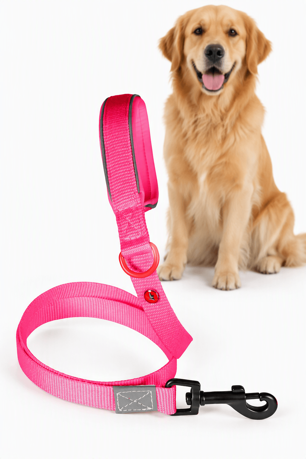 ZOLUX Premium-Nylon-Hundeleine, Größe XL, 1,2 m, 25 mm, fuchsia – Bild 1