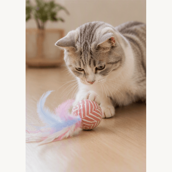 ZOLUX Katzenspielzeug MALO Ball mit Federn, 4 cm, rosa – Bild 4