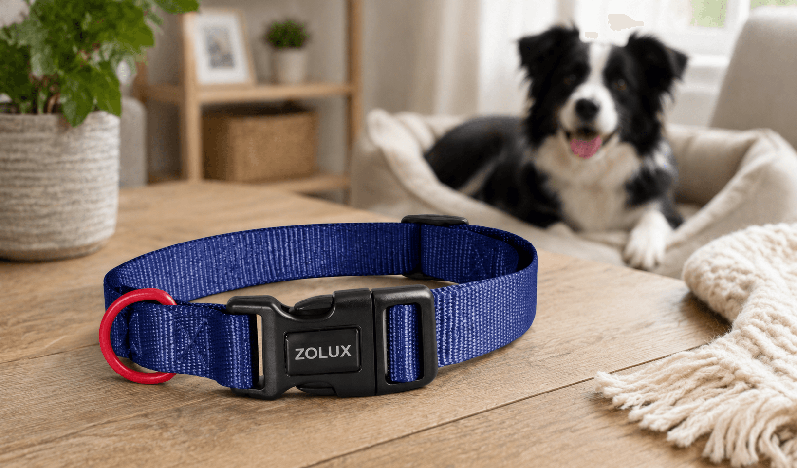 ZOLUX Klassisches Nylon-Hundehalsband, 31–48 cm, 20 mm, marineblau – Bild 4